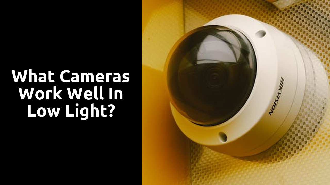 What cameras work well in low light?